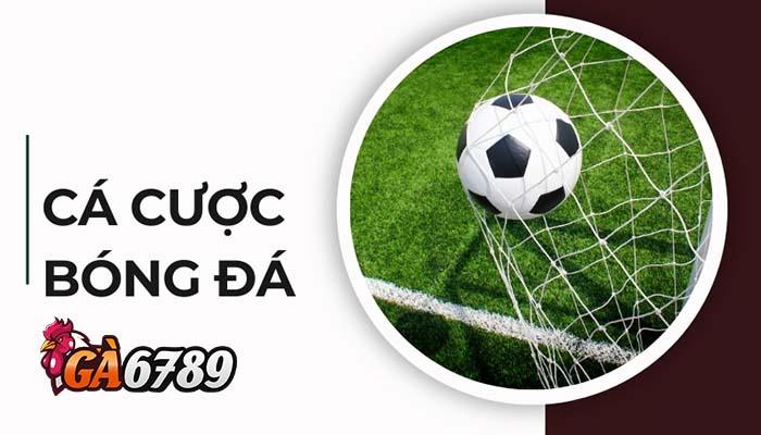 Giới thiệu cá cược bóng đá tại GA6789 Giới thiệu cá cược bóng đá tại GA6789